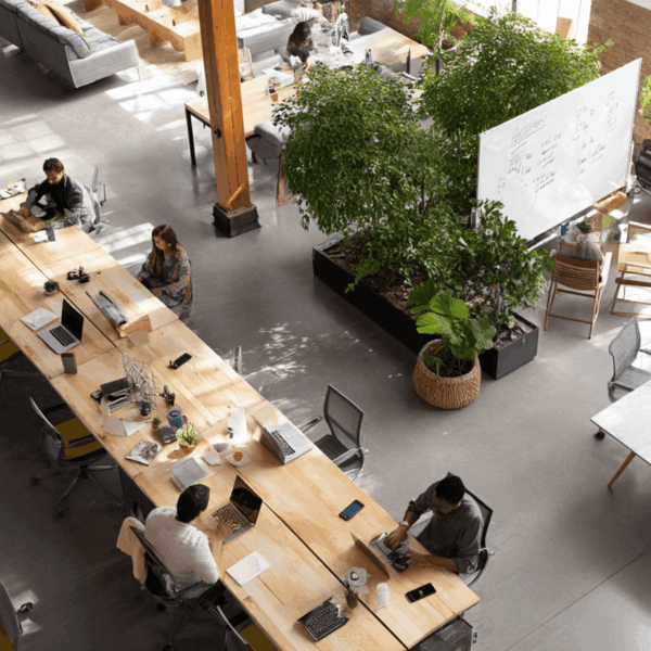 wenes-amenagement-design-bureaux (17)